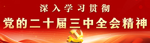 深入学习贯彻党的二十届三中全会精神